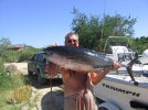 Tuna1007.JPG
