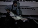 Big Striper for 08.jpg Big Striper for 08.jpg