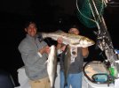 Ed Fish 9.jpg