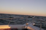 Moonrise on the Gulf.JPG