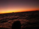 Port Aransas at sunset.JPG