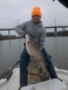 28 pound blue James River 2010.jpg