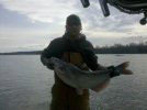 Bretts 25 pound blue 2010.jpg
