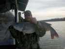 Mikes Hames River 31 pound Blue 2010.jpg