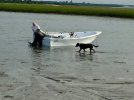 IMG_2944.jpg