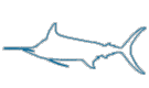 fish_morph[1].gif