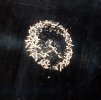 clear coat flake 2.jpg