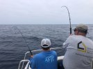 IMG_6620.jpg
