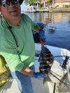 sheepshead.jpeg