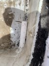 IMG_0474.jpeg