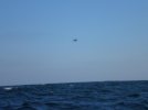 FishingTrip  Rescue 9-19-2010 012.jpg