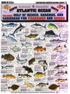 Outdoor Chart Atlantic Ocean.jpg