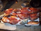 Fish 2-26-11.jpg