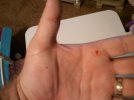 hand.jpg hand.jpg