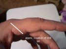 hand2.jpg hand2.jpg