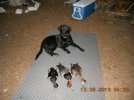 hunting December pics 004.jpg