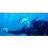 ReelDive