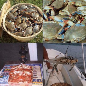 Crab'n