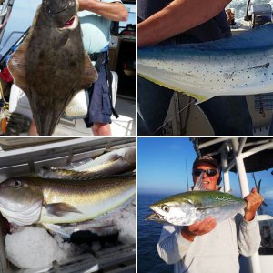 BeeReel Fishing