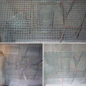 Pin Fish Trap