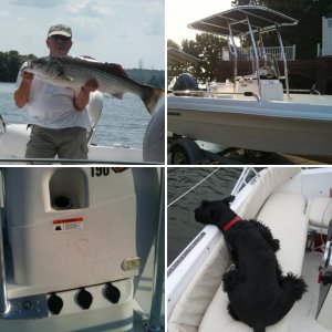 Striper Guy