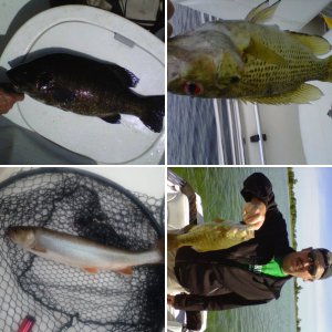 Fishing 2014