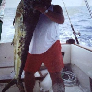 fish