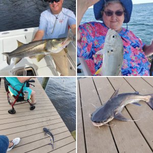 fishing