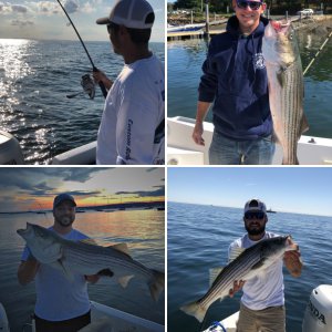 Fishing 2019