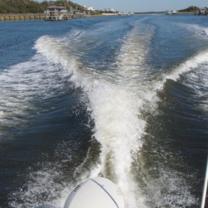 PA226564.JPG