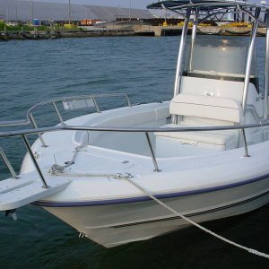 06215bow.JPG