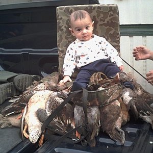 IMG0067_caelan_and_ducks.jpg