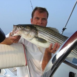 IMG_0345.JPG