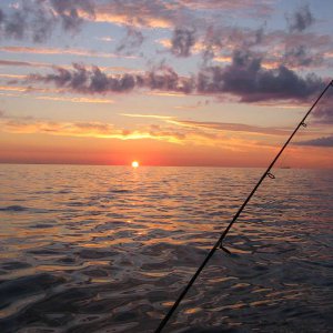 IMG_0371.JPG