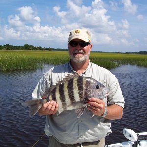 Sheepshead.jpg