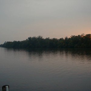 PIC00099.JPG