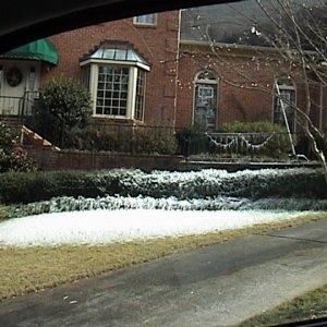 DSC00579.JPG