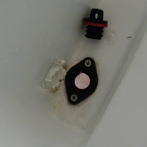 Fish_Box_Drain_1_7_06_001.jpg