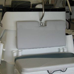 CC_with_back_cushion_2_4_2006.jpg