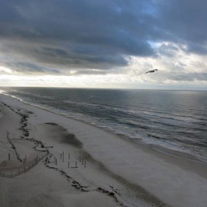 IMG_00481.JPG