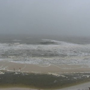 IMG_00441.JPG
