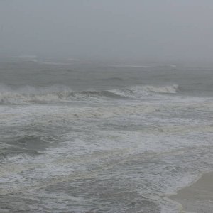 IMG_00461.JPG