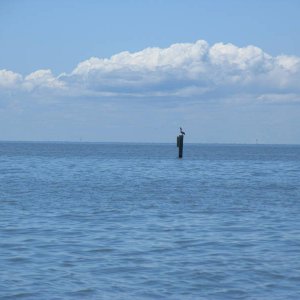 IMG_00541.JPG
