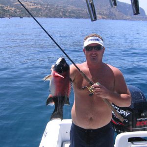 e-bay_fishfinder_205.jpg