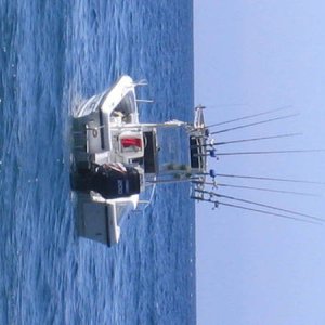 e-bay_fishfinder_2001.jpg