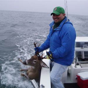 deer.jpg