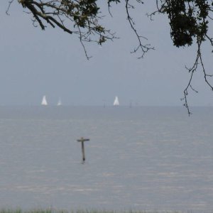 IMG_0220.JPG
