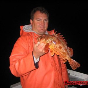 tay_sculpin_1.jpg