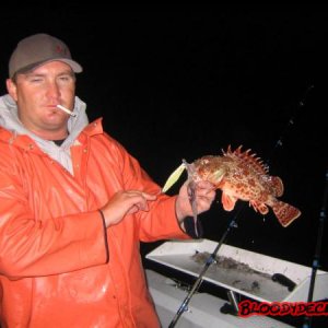 tay_sculpin_2.jpg