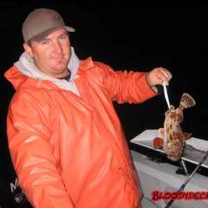 tay_sculpin_3.jpg